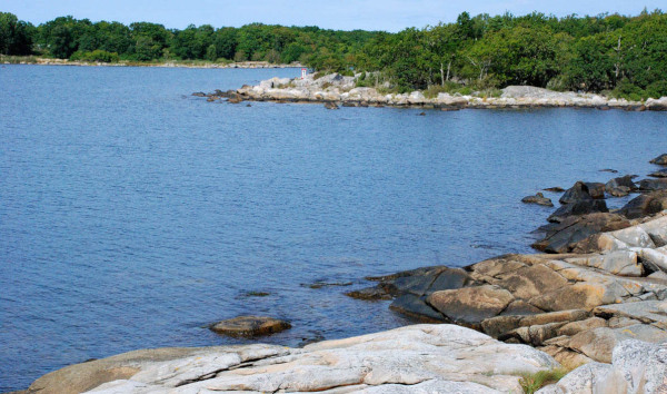 Osberget på Saltärna